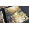 Image 5 : VARIOUS LANDSCAPE PRINTS 20" X 17"