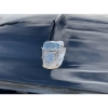 Image 6 : 1953 Ford F-100 Big Fender