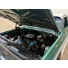 Image 23 : 1979 CHEVROLET 1500 BIG TEN EDITION