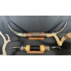 Image 3 : ASSORTED LONGHORN MOUNTS & ANTLERS