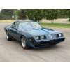 Image 5 : NO RESERVE 1981 PONTIAC TRANS AM
