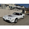 Image 1 : 1979 PONTIAC TRANS AM