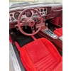 Image 10 : 1981 PONTIAC TRANS AM