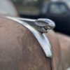 Image 6 : 16 - NO RESERVE 1953 - DODGE DELUXE | NO ENGINE