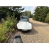 Image 3 : 1977 CHEVROLET CORVETTE