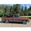 Image 5 : 1979 CHEVROLET SILVERADO