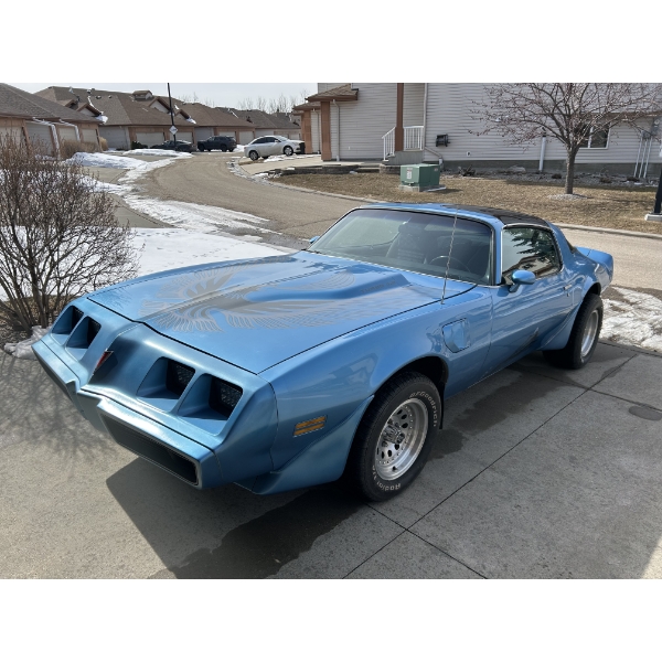 1981 PONTIAC TRANS AM TURBO