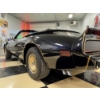 Image 18 : 1980 PONTIAC TRANS AM TURBO CONVERTIBLE