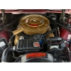 Image 13 : 1964 FORD THUNDERBIRD
