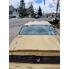 Image 10 : 1980 PONTIAC TRANS AM TURBO SPORT COUPE