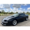 Image 1 : 1996 CHEVROLET CAMARO Z28 SUPERCHARGED
