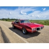 Image 1 : 1969 PONTIAC FIREBIRD