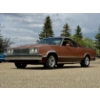 Image 1 : 1982 CHEVROLET EL CAMINO CONQUISTA