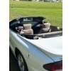 Image 11 : 1999 Pontiac Firebird Convertible