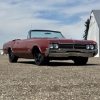 Image 3 : 1966 OLDSMOBILE 88 CONVERTIBLE 
