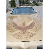 Image 6 : 1980 PONTIAC TRANS AM TURBO SPORT COUPE