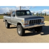Image 8 : 1978 FORD F250