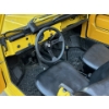 Image 17 : 1973 VOLKSWAGEN THING