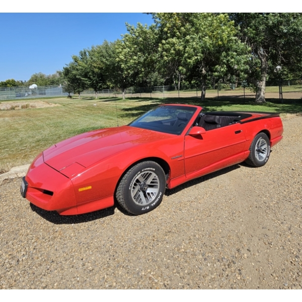 1991 PONTIAC FIREBIRD CONVERTIBLE