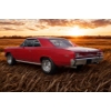Image 6 : 1966 CHEVROLET MALIBU
