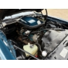 Image 36 : NO RESERVE 1981 PONTIAC TRANS AM