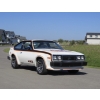 Image 9 : 1979 AMC AMX