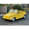 Image 1 : 1973 VOLKSWAGEN THING