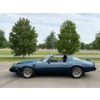 Image 8 : NO RESERVE 1981 PONTIAC TRANS AM