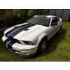Image 1 : 2007 FORD SHELBY GT 500