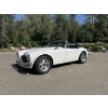 Image 1 : 1965 AUSTIN HEALY 3000 MK III 