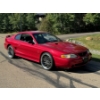 Image 2 : 1996 FORD MUSTANG COBRA SVT