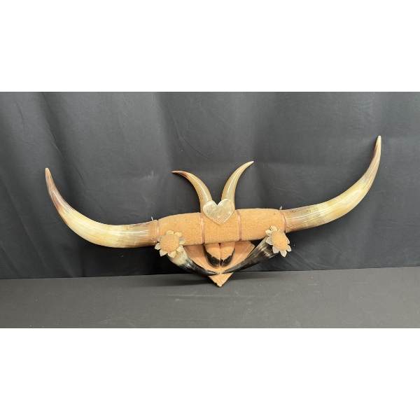 VINTAGE 1933 NOGALES MEXICAN STEERHORN SOUVENIR WALL MOUNT 