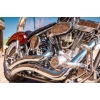 Image 15 : 2007 OCC T-REX SOFTAIL 