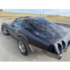 Image 9 : 1979 CHEVROLET CORVETTE 