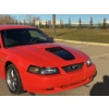 Image 21 : RESERVE LIFTED!!  2004 FORD MUSTANG GT