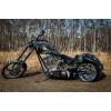 Image 3 : 2007 CUSTOM DRAGON SLAYER CHOPPER