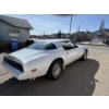 Image 7 : 1979 PONTIAC TRANS AM