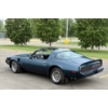 Image 10 : NO RESERVE 1981 PONTIAC TRANS AM
