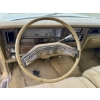 Image 10 : 1979 LINCOLN TOWN CAR