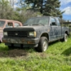 Image 1 : 17 - NO RESERVE - CHEVROLET S10 PICKUP SHORT CAB