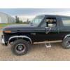Image 2 : 1985 FORD BRONCO XLT