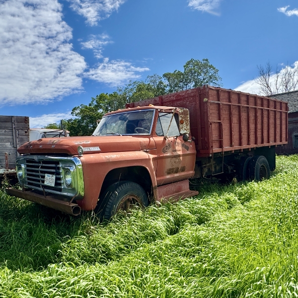 23 - NO RESERVE 1967 FORD F700 GRAIN TRUCK