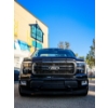 Image 3 : 2024 FORD F150 CUSTOM
