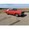 Image 3 : 1964 PONTIAC LEMANS GTO 