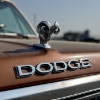 Image 7 : 1984 DODGE D250