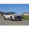 Image 2 : 1979 AMC AMX