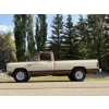 Image 3 : 1984 DODGE D250