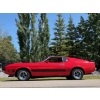 Image 9 : 1973 FORD MUSTANG MACH I 351 COBRA JET