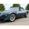 Image 19 : NO RESERVE 1981 PONTIAC TRANS AM