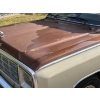 Image 34 : 1984 DODGE D250